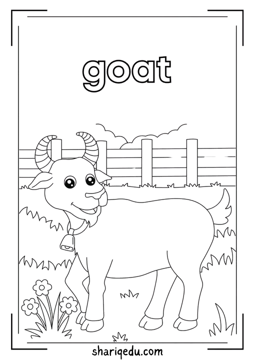Meet the Friendly Goat