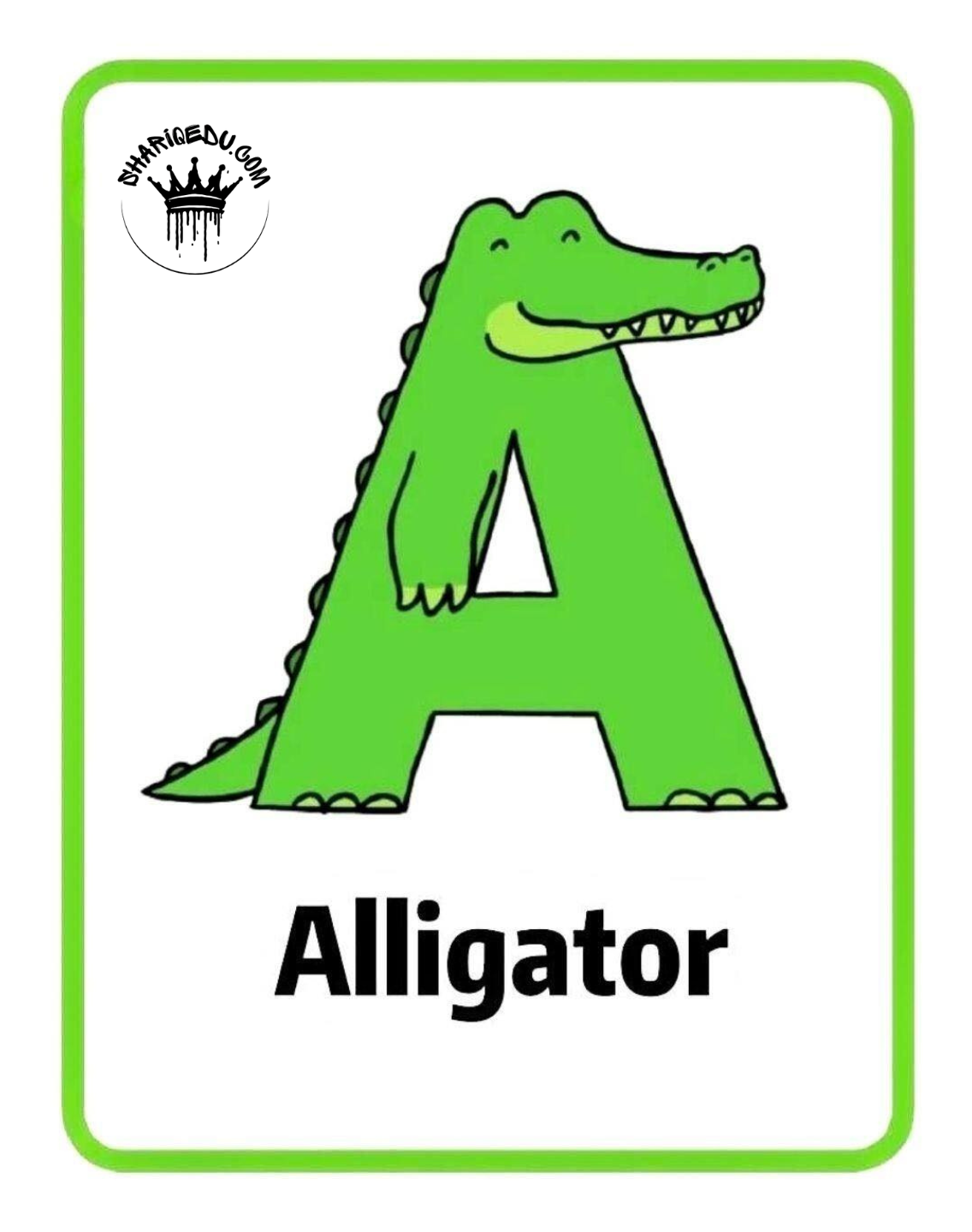 Learning Alphabet (A Alligator)