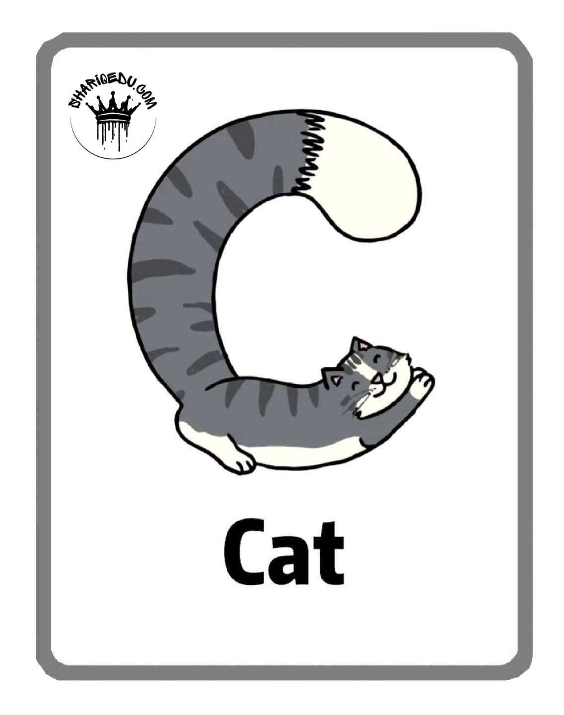 Fun Alphabet Learning